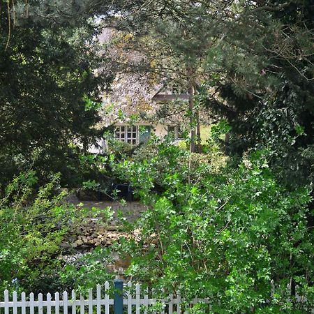 Ferienhof Tom Diek Jork Esterno foto